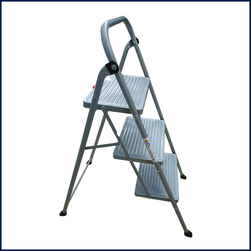steel ladder 1 01032022
