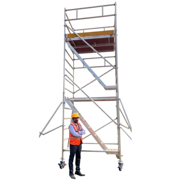 Double Platform Scaffolding Ladder 1